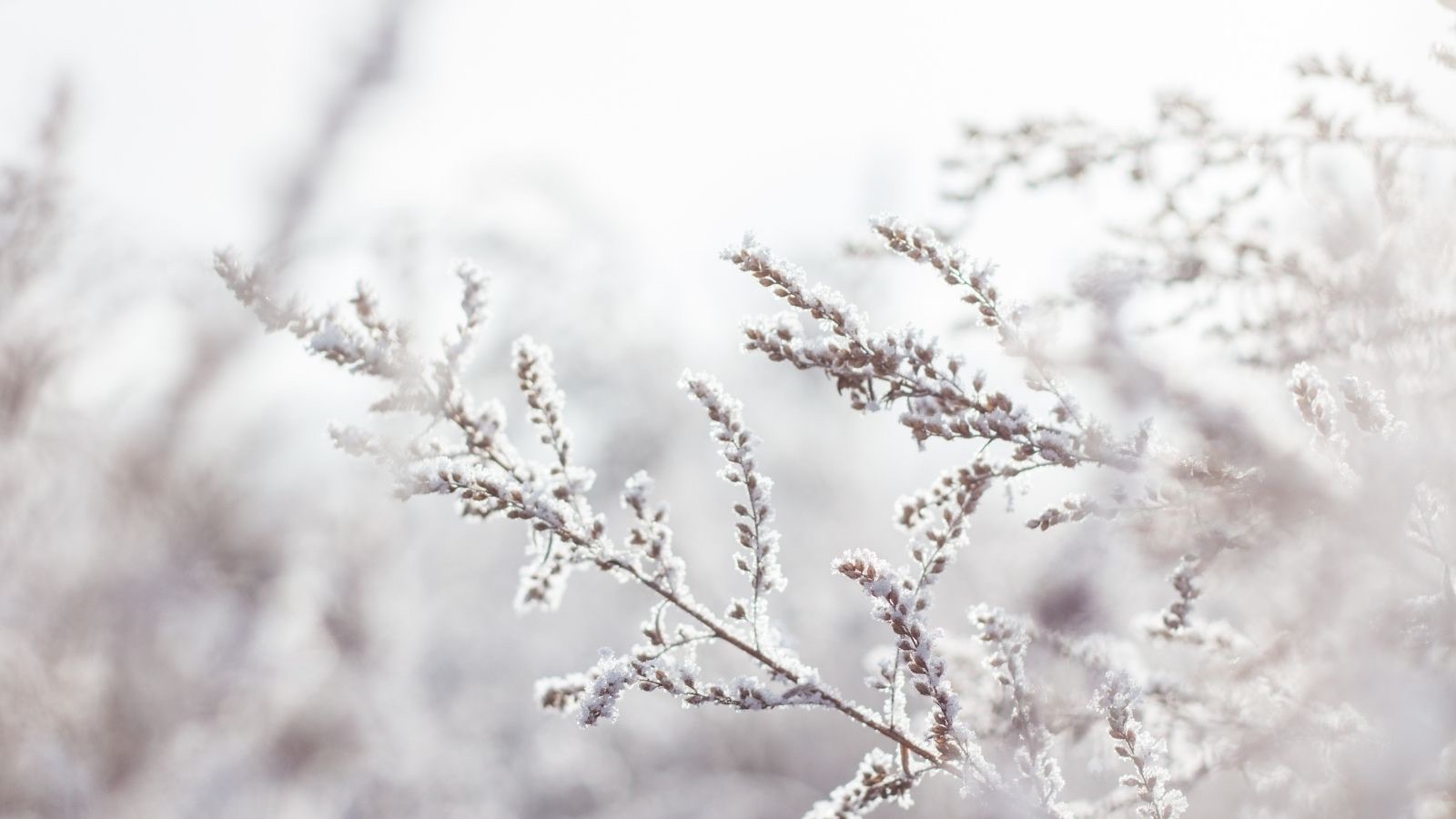 7 December – Mindfulness Advent Challenge